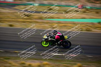 media/Feb-16-2024-CRA (Fri) [[3bc3e7055d]]/Group B/Session 7 (Turn 1)/